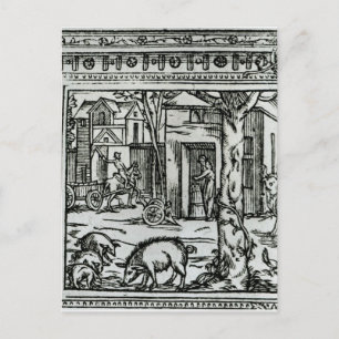 Theater d'Agriculture et Mesnage des Champs Vykort