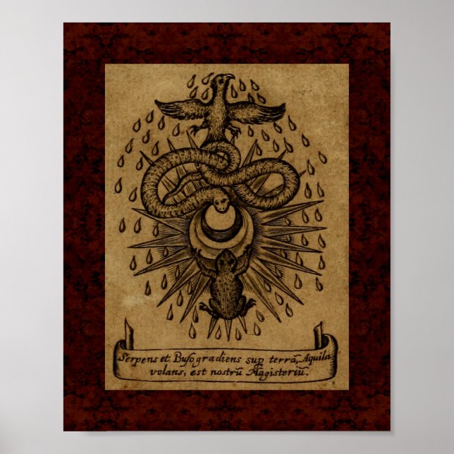 Theatrum Chemicum: 1652 Alchemy Illustration Poster (Framsidan)