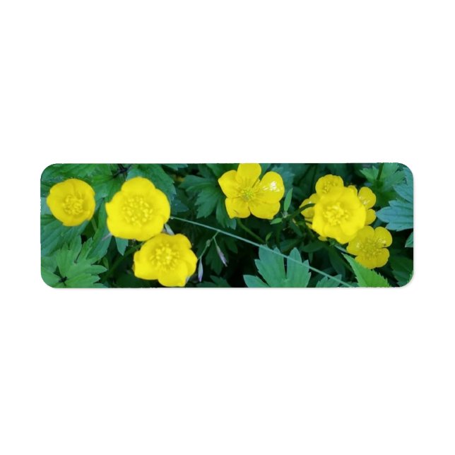 Themed etiketter för Buttercup Returadress Etikett (Framsidan)