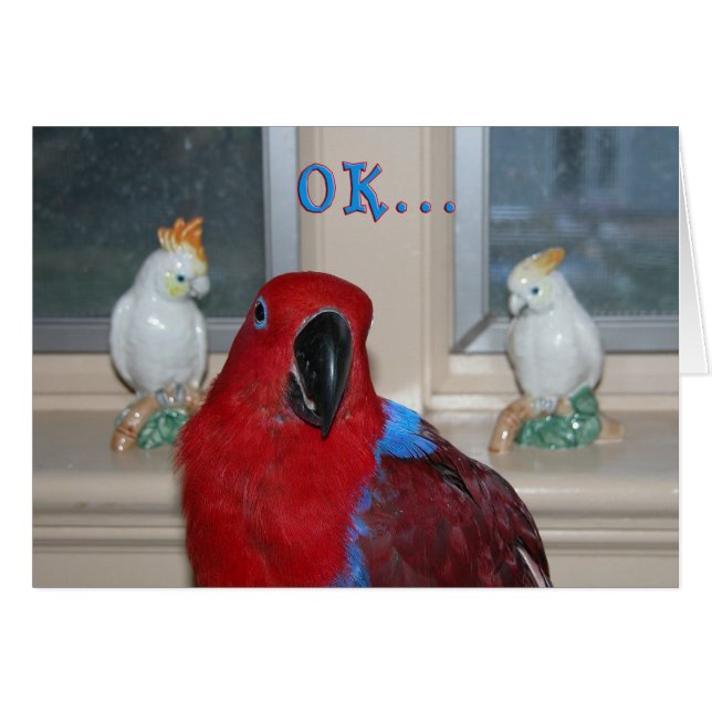 Themed papegoja hälsningskort (Framsidan Horizontal)