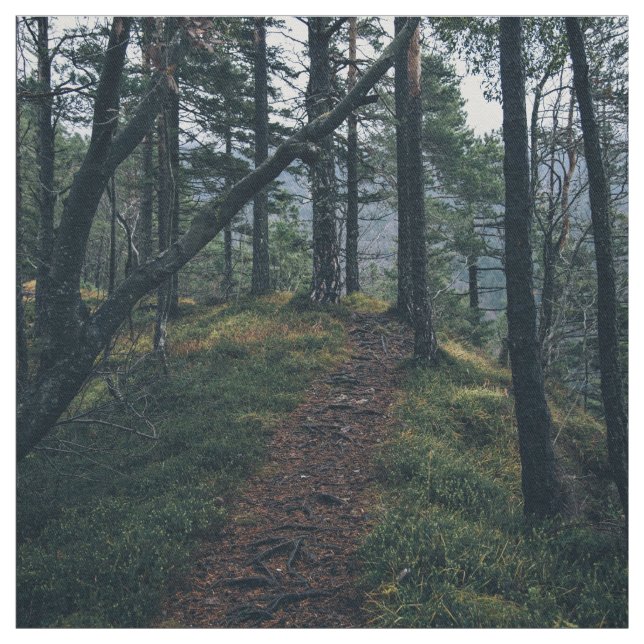 Themed skogen, vägvind till och med en skog av tyg (Provkarta)