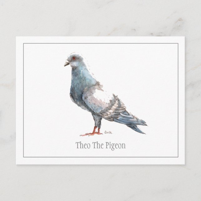 "Theo the Pigeon"-vykort Vykort (Framsida)