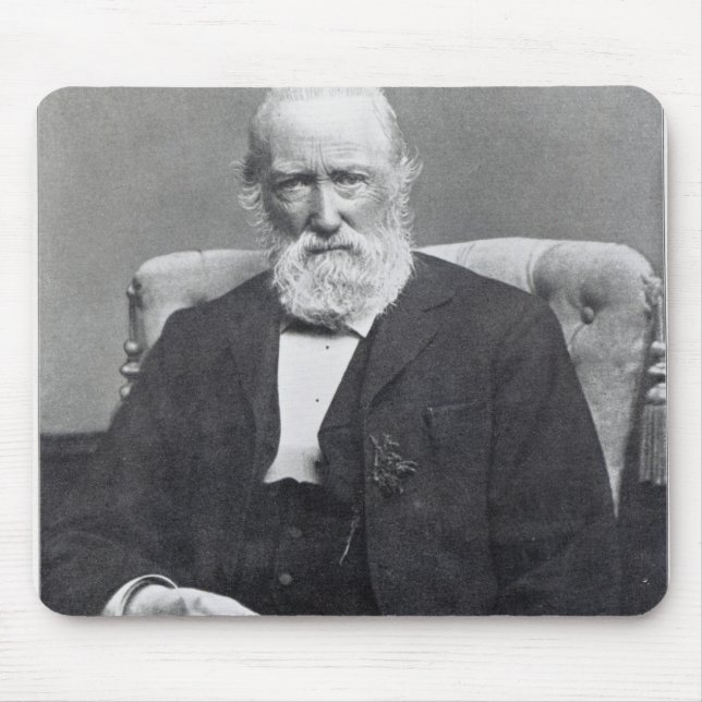 Theodor storm, c.1886 musmatta (Framsidan)
