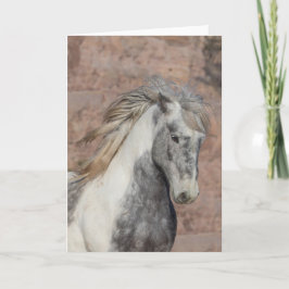 Theodore - Galloping to Freedom Greeting Card Kort