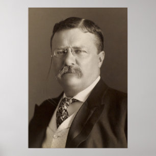 Theodore Roosevelt, 26:e USA:s president Poster