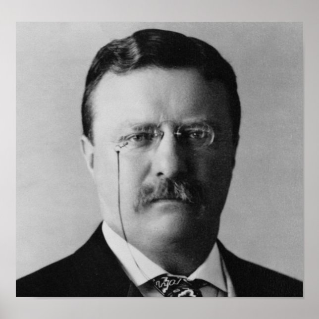 Theodore Roosevelt 26 Poster (Framsidan)