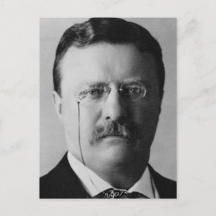 Theodore Roosevelt 26 Vykort