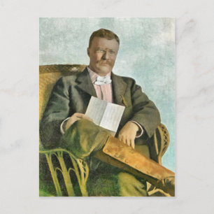 THEODORE ROOSEVELT AT OYSTER BAY VYKORT