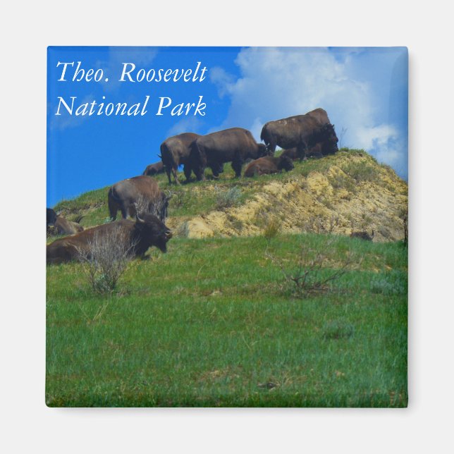Theodore Roosevelt National Park ND Magnet (Framsidan)