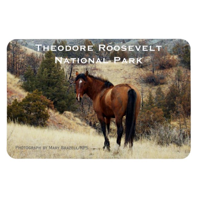Theodore Roosevelt NP Souvenir Magnet (Horisontell)