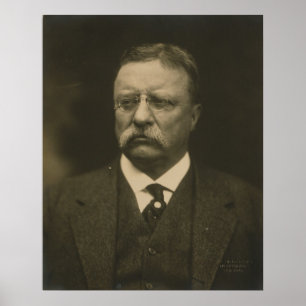 Theodore Roosevelt Porträtt av Pach Brothers Poster