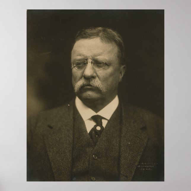Theodore Roosevelt Porträtt av Pach Brothers Poster (Framsidan)