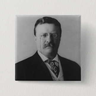 Theodore Roosevelt porträtt Knapp