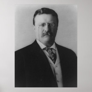Theodore Roosevelt Porträtt Poster