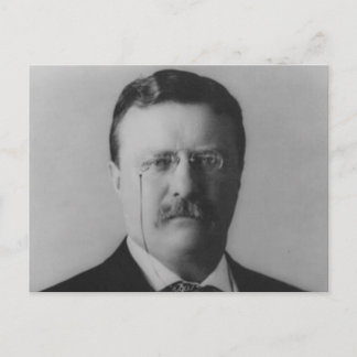 Theodore Roosevelt Porträtt Vykort