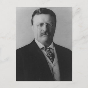 Theodore Roosevelt-porträtt Vykort