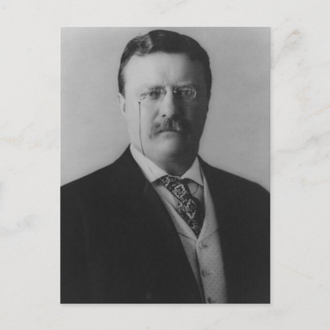 Theodore Roosevelt-porträtt Vykort (Framsida)