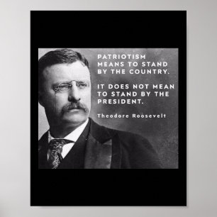 Theodore Roosevelt Pro-demokrati Anti-trump Patrio Poster