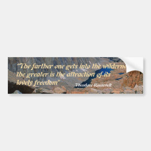 Theodore Roosevelt Quotation Bildekal