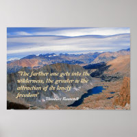 Theodore Roosevelt Quotation