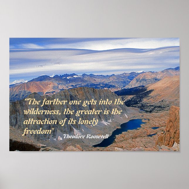 Theodore Roosevelt Quotation Poster (Framsidan)