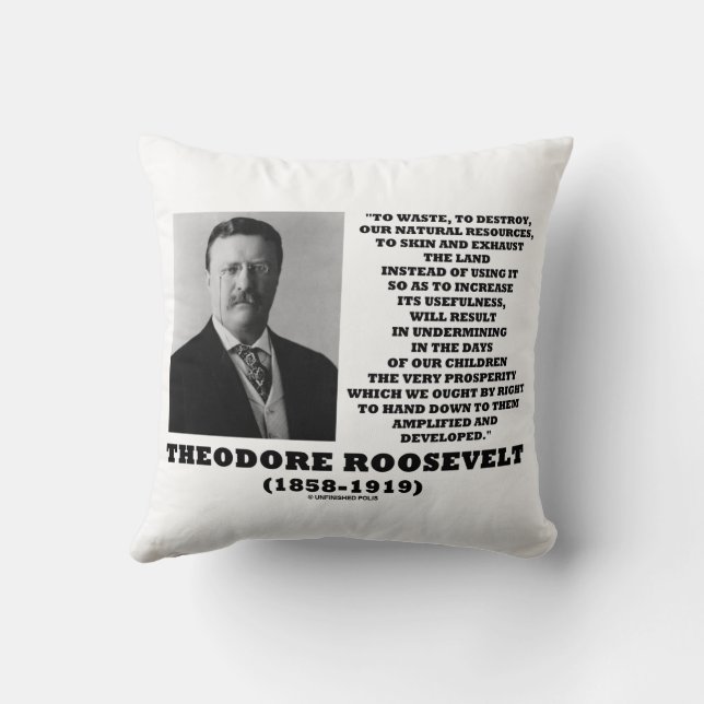 Theodore Roosevelt Slösar naturresurser som förstö Kudde (Baksida)