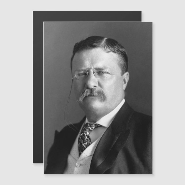 Theodore Roosevelt Teddy President Republican (Fram/baksida)