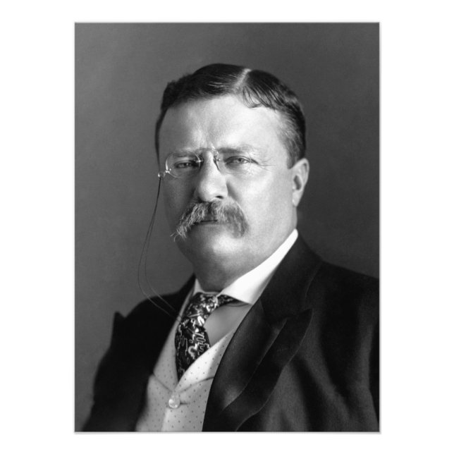 Theodore Roosevelt Teddy President Republican Fototryck (Framsidan)