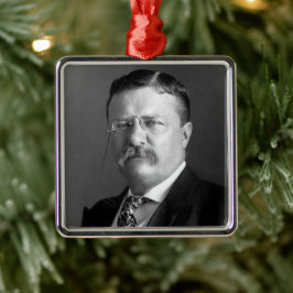 Theodore Roosevelt Teddy President Republican Julgransprydnad Metall
