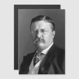 Theodore Roosevelt Teddy President Republikan