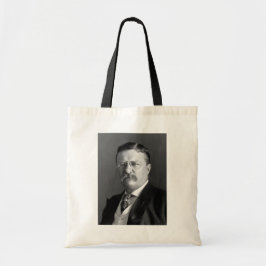 Theodore Roosevelt Teddy President Republikan Tygkasse