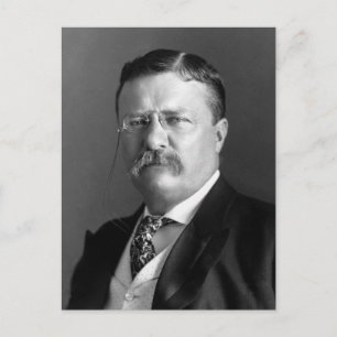 Theodore Roosevelt Teddy President Republikan Vykort