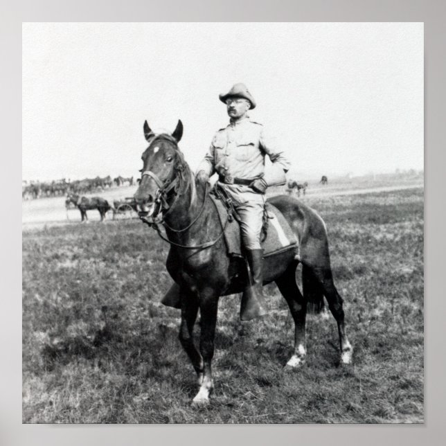 Theodore Roosevelt - The Rough Rider - 1898 Poster (Framsidan)