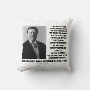 Theodore Roosevelt Tresoni American Public Public Kudde