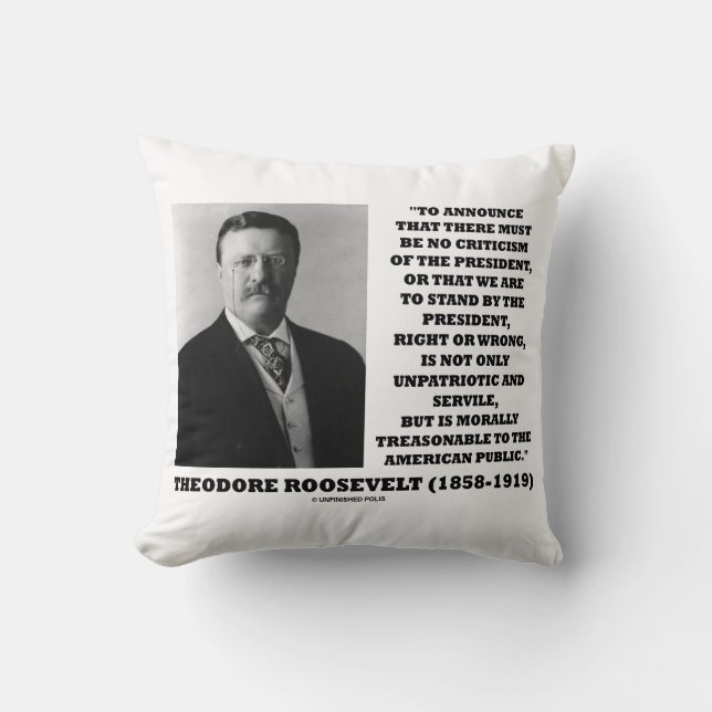 Theodore Roosevelt Tresoni American Public Public Kudde (Framsida)