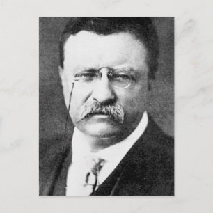 Theodore Roosevelt Vykort