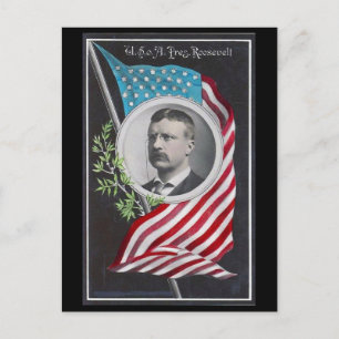 Theodore Roosevelt Vykort