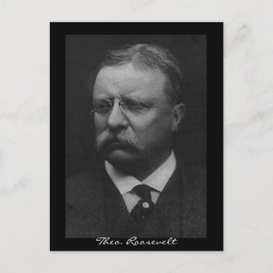 Theodore Roosevelt Vykort