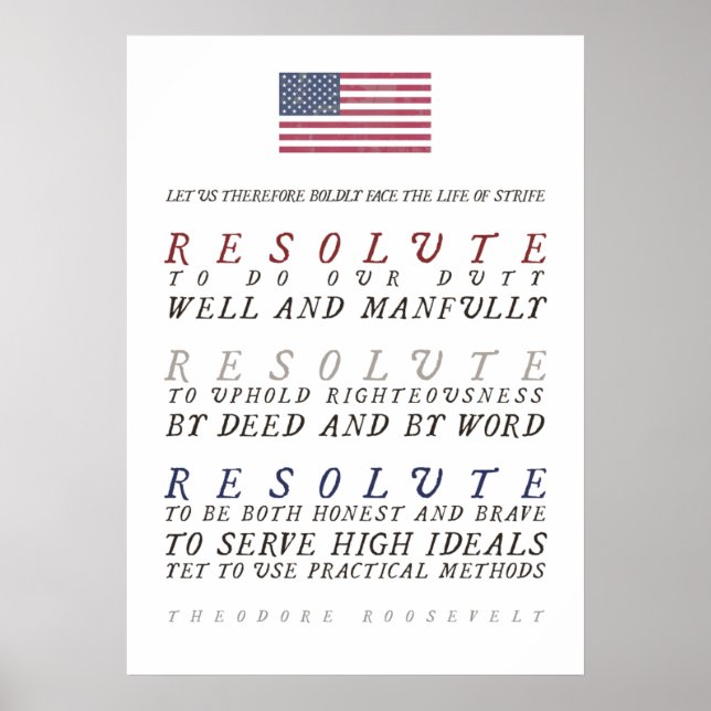 Theodore Roosevelts underbara liv Poster (Framsidan)