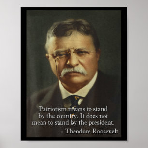 Theodore Teddy Roosevelt Meme _ Anti Trump Tee Poster
