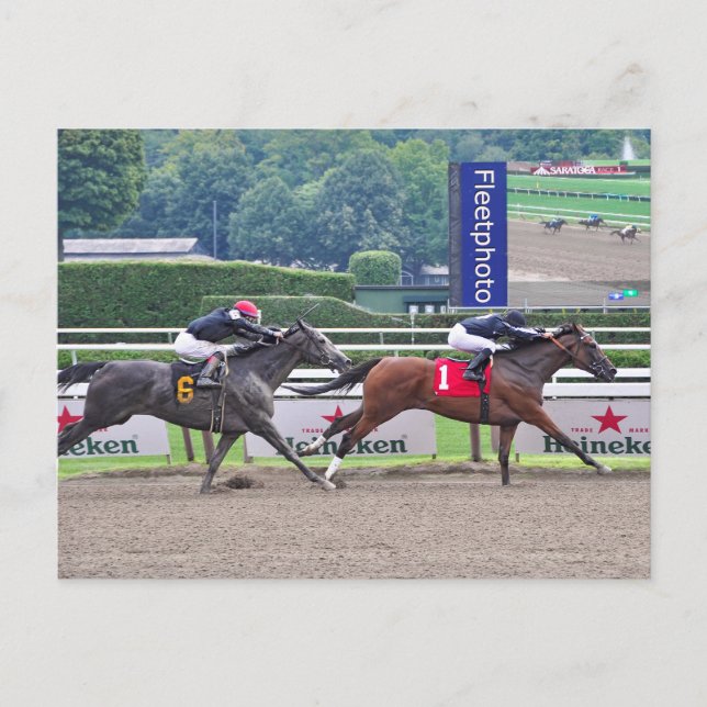 Theophilia beating Carrumba Vykort (Framsida)