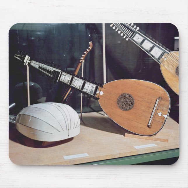 Theorbo 1637 musmatta (Framsidan)