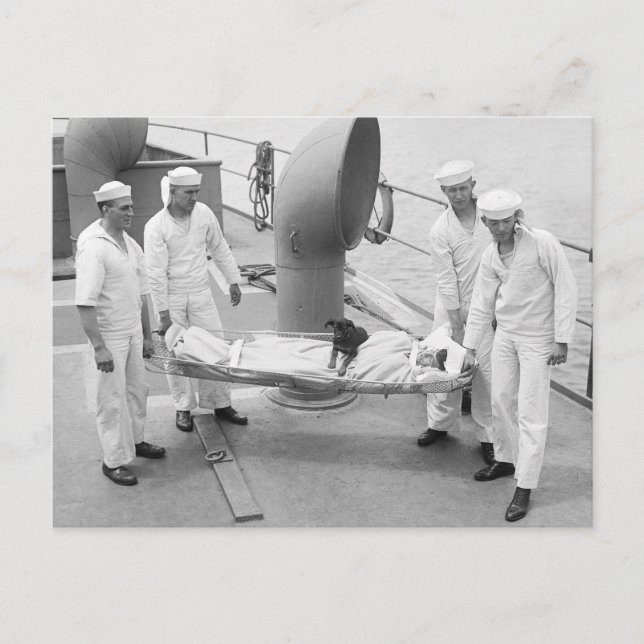 Therapy Hund, tidigt 1900-talet Vykort (Framsida)