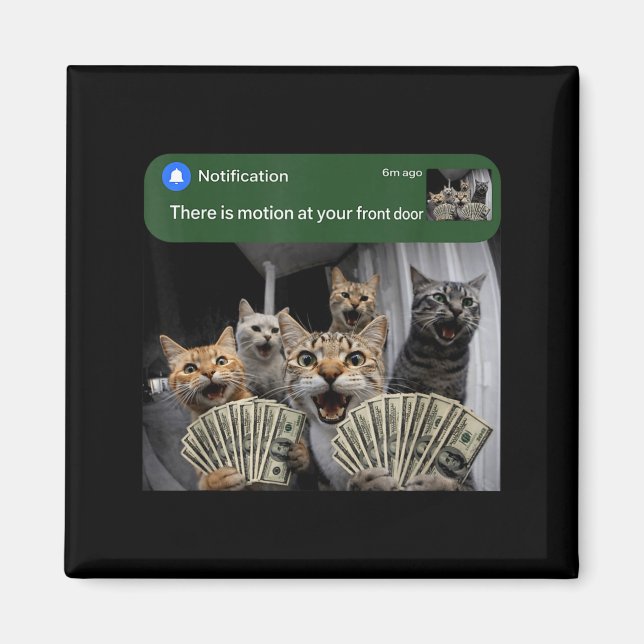There is motion at front door funny cat motion mem magnet (Framsidan)
