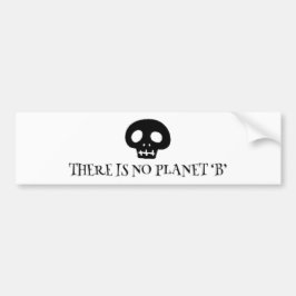 There is no planet 'B' Bildekal