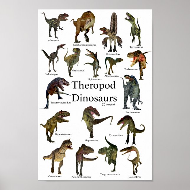 Theropod Dinosaurs Poster (Framsidan)