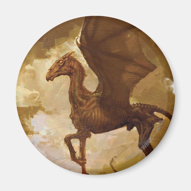 Thestral Magnet (Framsidan)