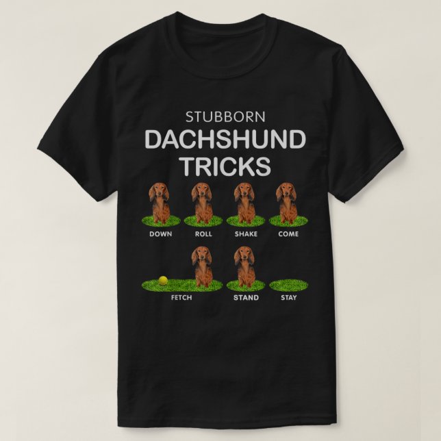 Thick Headed Dog - Funny Long Hair Dachshund for C T Shirt (Design framsida)