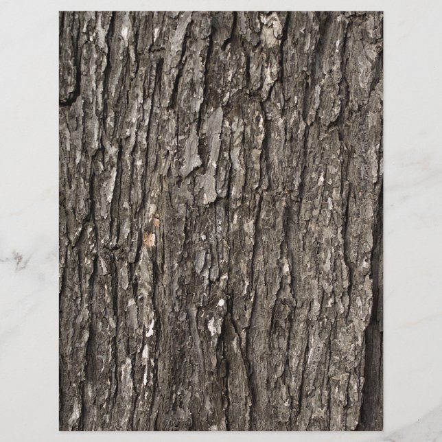 Thick Träd Bark (Framsida)