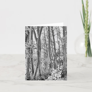 Thicket Kort